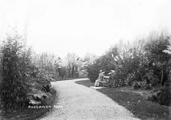 Boscawen Park, Truro, Cornwall. Early 1900s