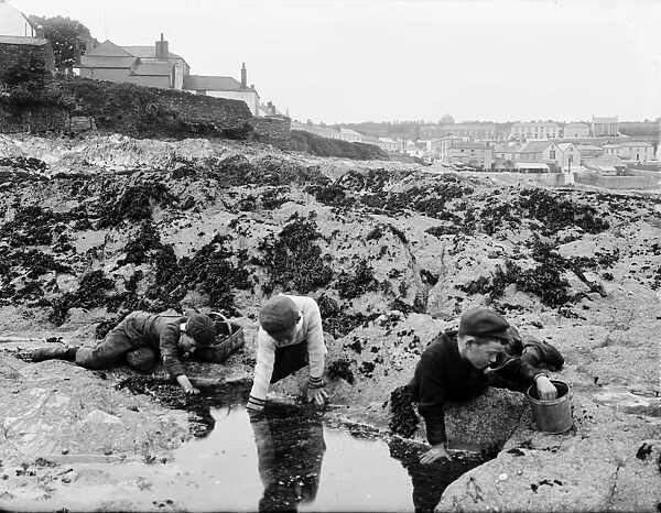Boys at a rock pool, Cornwall. 1901
