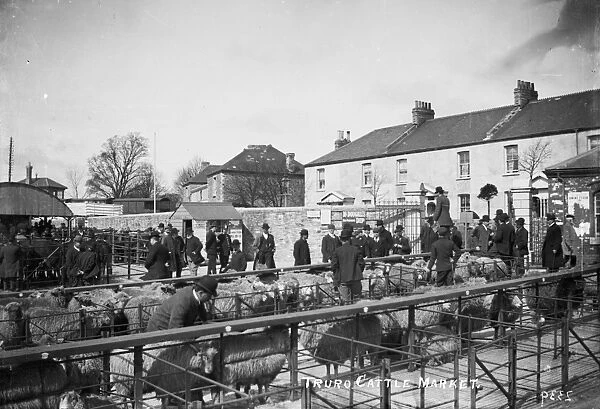 Cattle Market, Castle Hill, Truro, Cornwall. About 1910
