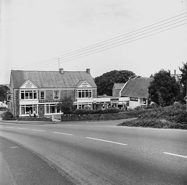 Cornish Chough, Porth Way, Newquay, Cornwall. 1977