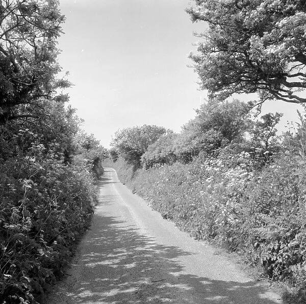 Country lane near Relubbus, St Hilary, Cornwall. 1969