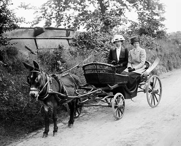Donkey cart with two women, Cornwall. 1910