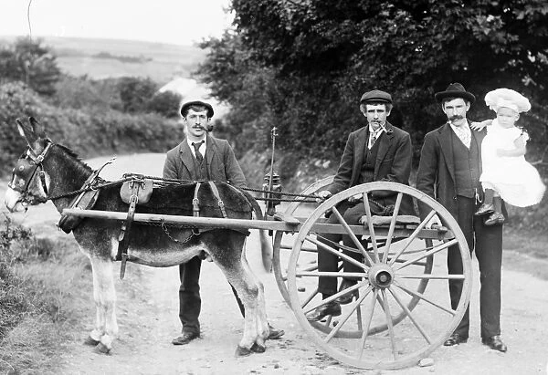 Donkey shay with E.J. Hampton and others in Calloose Lane, Leedstown, Crowan, near Hayle, Cornwall. 1903-1904