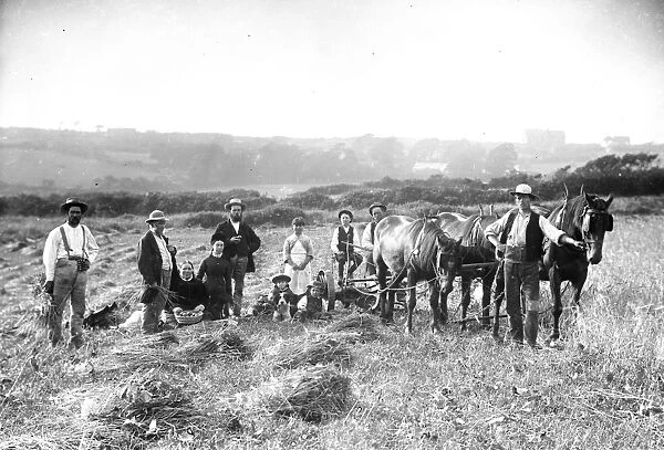Family group during harvest, Cornwall. Late 1800s