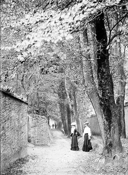 Foxs Lane, Falmouth, Cornwall. Early 1900s