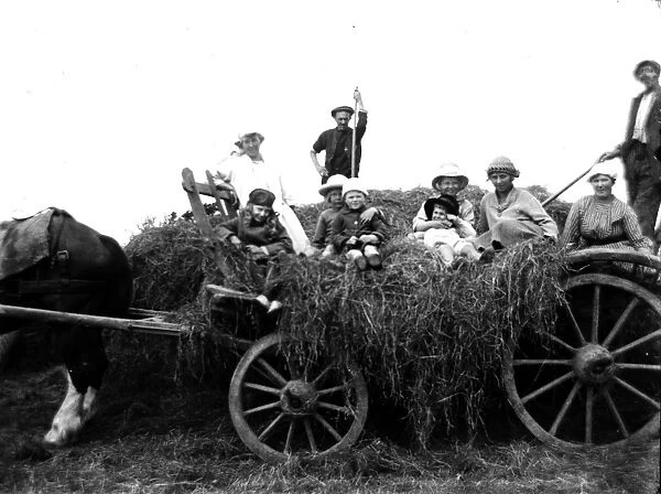 Hay waggon, probably Padstow, Cornwall. Early 1900s