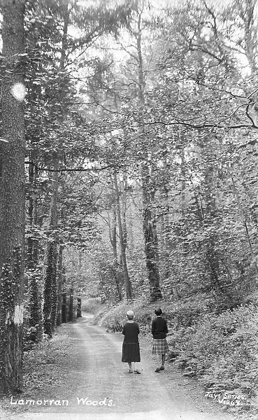 Lamorran Woods, Cornwall. 1920s-1930s