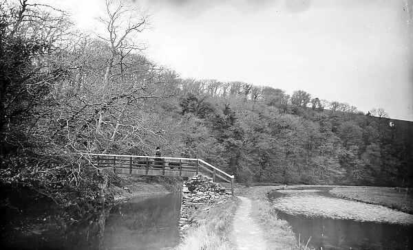 Liskeard to Looe Canal, Morval, Cornwall. Around 1890