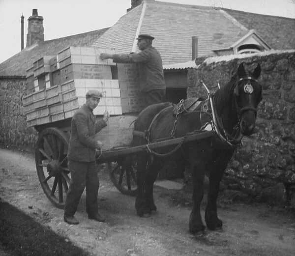 Loading flower boxes, Bryher, Isles of Scilly, Cornwall. 1910s