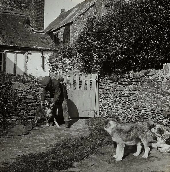 Man with dogs, Tolverne Barton, Philleigh, Cornwall. Around 1925