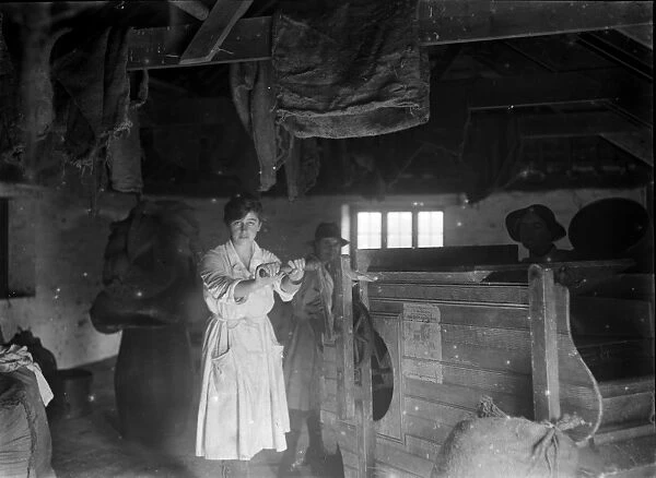 Members of the First World War Womens Land Army. Tregavethan Farm, Truro, Cornwall. Around 1917