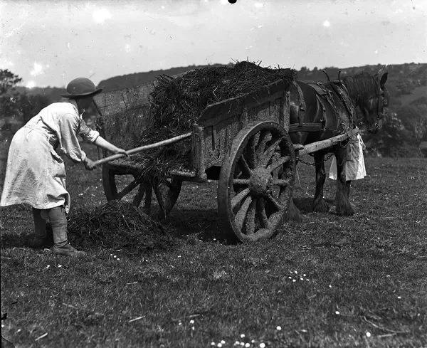 Members of the First World War Womens Land Army. Tregavethan Farm, Truro, Cornwall. 28th May 1918