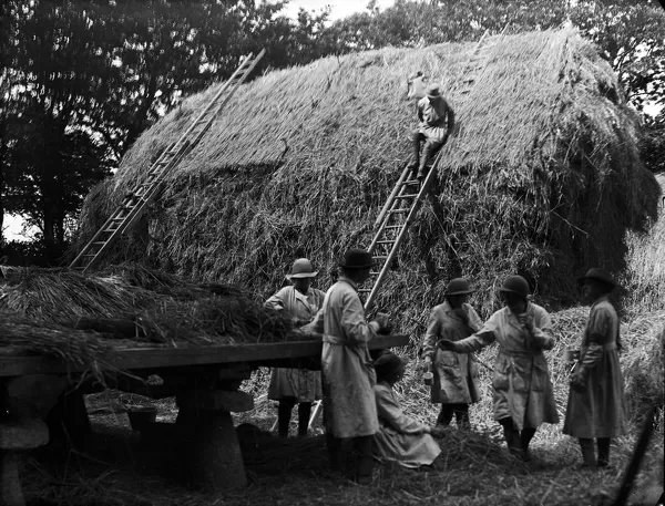 Members of the First World War Womens Land Army. Tregavethan Farm, Truro, Cornwall. 6th June 1918