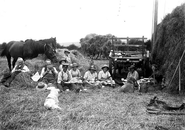 Members of the First World War Womens Land Army and farm hands. Tregavethan Farm, Truro, Cornwall. July 1917