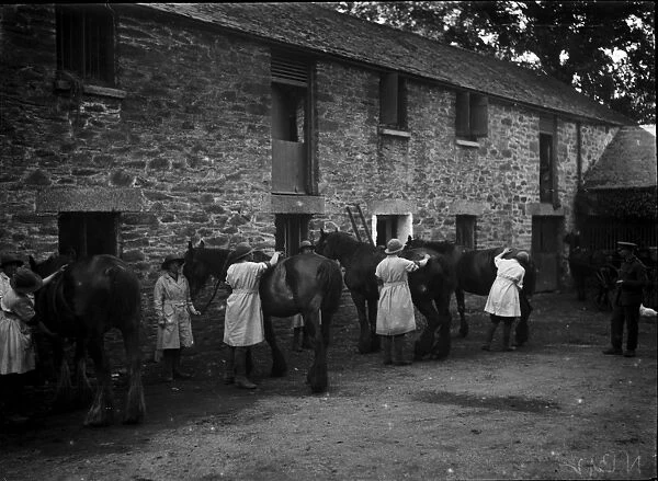 Members of the First World War Womens Land Army grooming horses. Tregavethan Farm, Truro, Cornwall. Around 1917