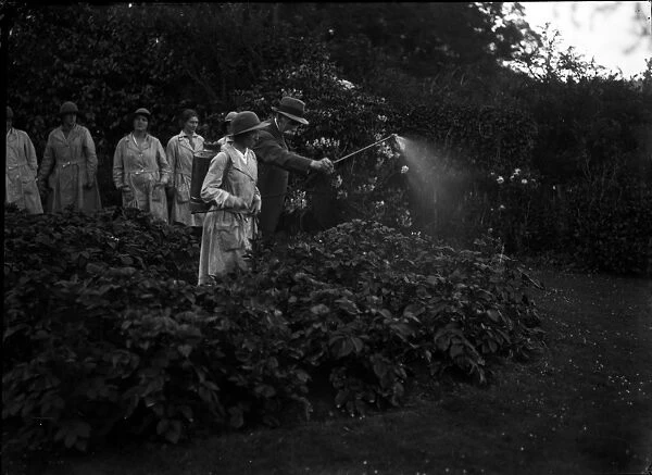 Members of the First World War Womens Land Army pictured outside. Tregavethan Farm, Truro, Cornwall. June 1917