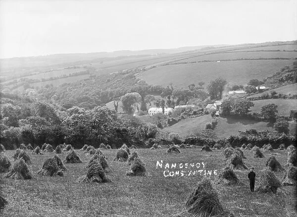 Nancemoy, Constantine, Cornwall. Early 1900s