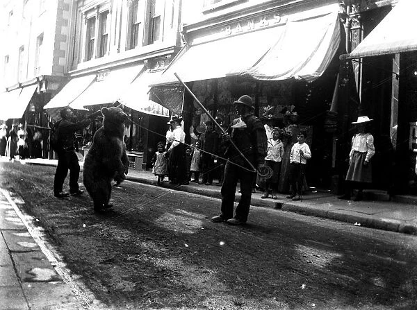 Performing bear, Market Street, Falmouth, Cornwall. Early 1900s