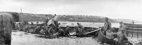 Pilchard seining, St Ives, Cornwall. Early 1900s