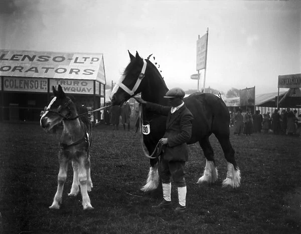 The Royal Cornwall Show, Camborne, Cornwall. 13th-14th June 1923