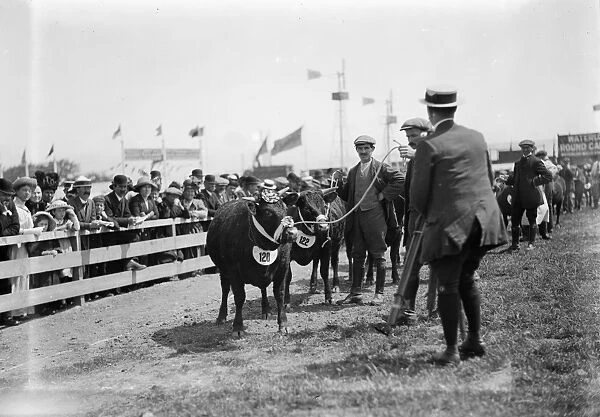 Royal Cornwall Show, Cornwall. Early 1900s