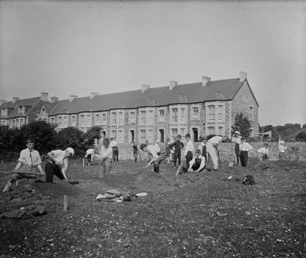 Schoolchildren digging in a field, St Columb Minor Churchtown, Cornwall. 1910