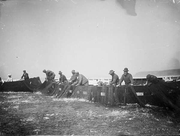 Seine fishing, Sennen Cove, Cornwall. 31st August 1906