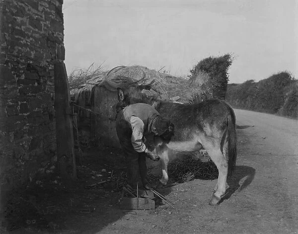 Shoeing a horse, probably Padstow area, Cornwall. Early 1900s