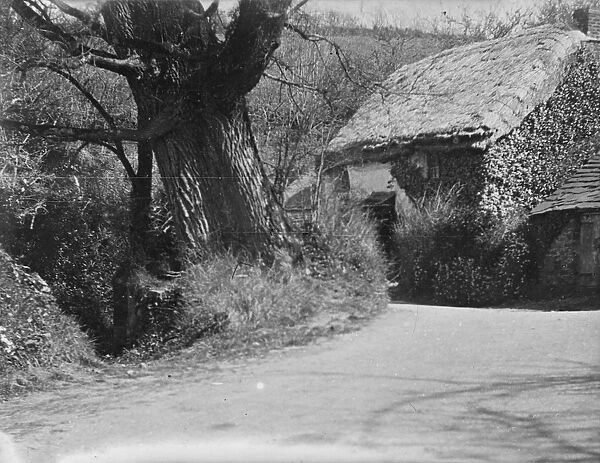 St Keynes well, Cornwall. Early 1900s