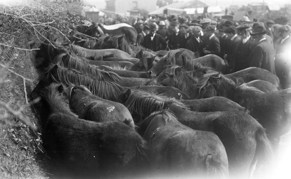 Summercourt Fair, St Enoder, Cornwall. 1912