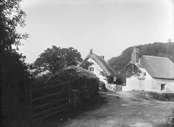 Thatched Cottages near Mawgan, Mawgan in Meneage, Cornwall. 1897