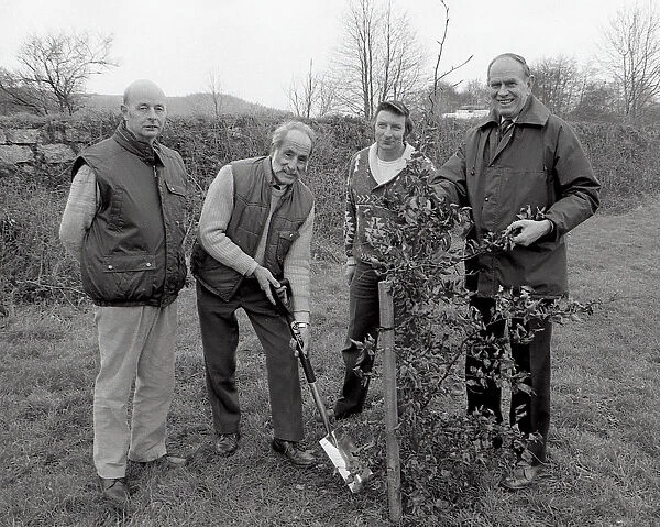 Tree Planting, Lostwithiel, Cornwall. December 1989