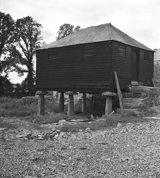 Wooden granary building on staddle stones, Shillingham Manor Farm, St Stephens by Saltash, Cornwall. 1961