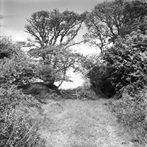Caervallack, St Martin in Meneage, Cornwall. 1966