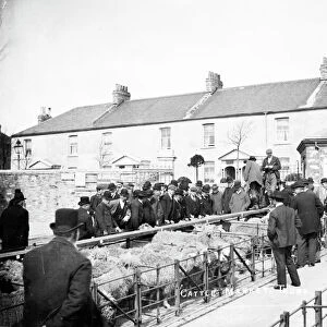 Cattle Market, Castle Hill, Truro, Cornwall. About 1920
