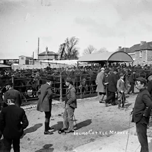 Cattle Market, Truro, Cornwall. About 1910
