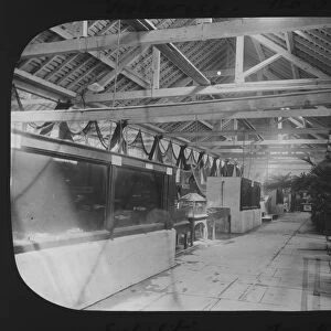 Exhibition tanks, Cornwall County Fisheries Exhibition, Truro, Cornwall. July to August 1893