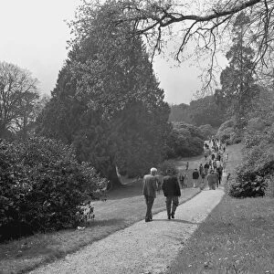 Garden at Tregothnan House, St Michael Penkivel, Cornwall. 1976