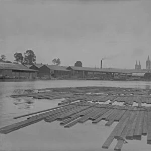 Harveys Timber Yard and timber raft on the Truro River, Truro, Cornwall. After 1910