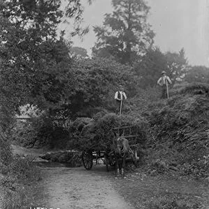 Hay wagon, Little Canaan, Kenwyn, Truro, Cornwall. Early 1900s