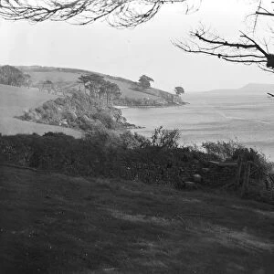 The Helford River from a footpath near Durgan, Mawnan, Cornwall. Early 1900s