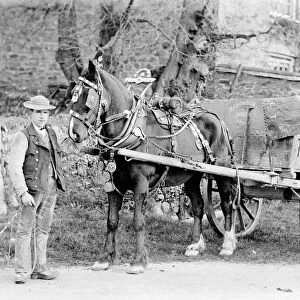 A horse and cart in Truro, Cornwall. Early 1900s