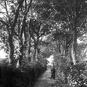 Kernick Avenue, Penryn, Cornwall. Around 1904