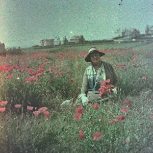 Lady sitting in a poppy field behind Fistral Beach Newquay, Pentire, Cornwall. Around 1925