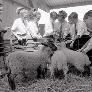 Livestock Unit, Fowey Community School, Fowey, Cornwall. July 1990