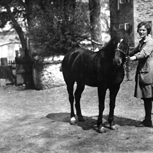 Member of the First World War Womens Land Army with a horse, Tregavethan Farm, Truro, Cornwall. 1918