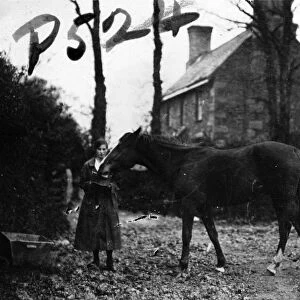 Member of the First World War Womens Land Army with a horse, Tregavethan Farm, Truro, Cornwall. May 1918