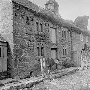 Merthyr Uny, Wendron, Cornwall. Early 1900s