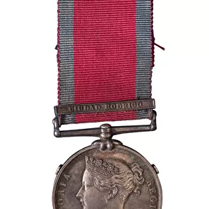 Museum Objects Collection: Medals