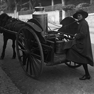 Milk cart, Lemon Street, Truro, Cornwall. Probably 1923